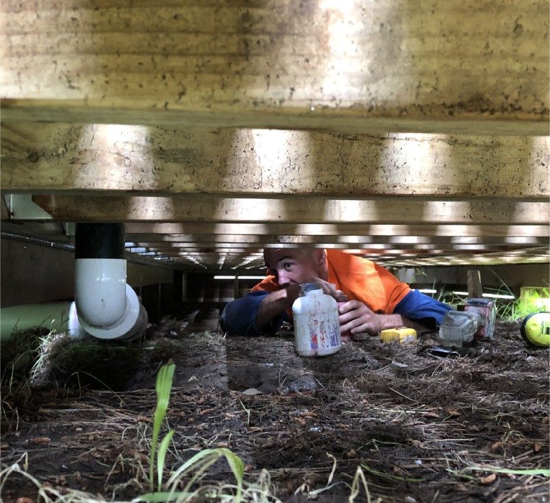 cleaning drain pipes